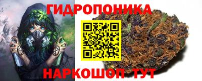 спайс Бердск