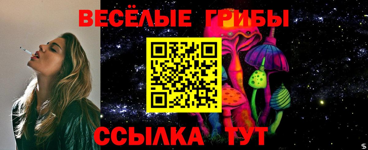 Псилоцибиновые грибы Psilocybe  как найти закладки  Гусев  Вход с VPN  Псилоцибиновые грибы Psilocybe 